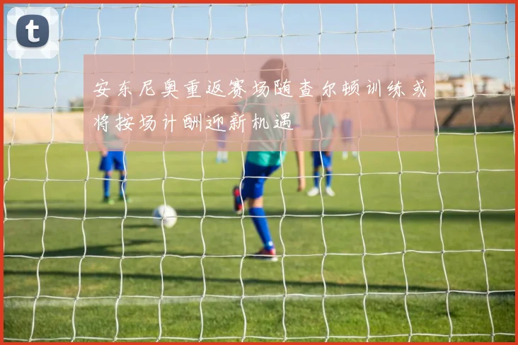 安东尼奥重返赛场随查尔顿训练或将按场计酬迎新机遇