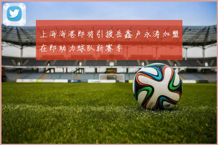 上海海港即将引援岳鑫卢永涛加盟在即助力球队新赛季