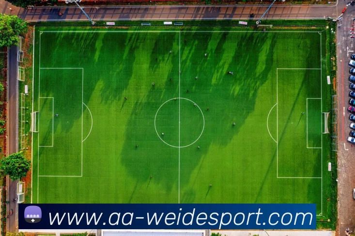 伟德体育平台生态图