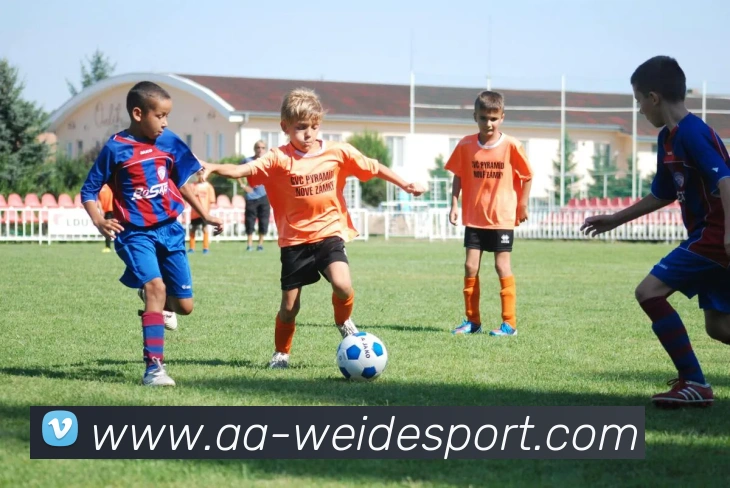 伟德体育APP 封面图