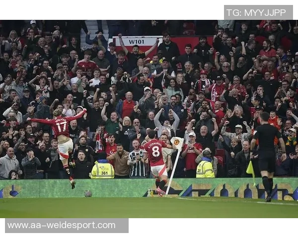 英超11月最佳球员候选名单揭晓多库B费里斯詹姆斯赖斯争夺荣誉